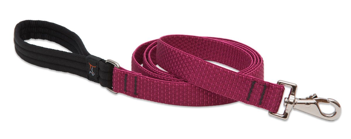 Lupine ECO Dog Lead - SnowPaw Store - Lupine - Dog Collars, Leads, Belts